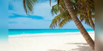 ¿El Caribe en Perú? Todo sobre este destino turístico que debes visitar en la región de Áncash ¿El Caribe en Perú? Todo sobre este destino turístico que debes visitar en la región de Áncash