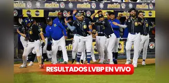 Resultados de la LVBP 2024 EN VIVO por internet: ¿cómo van los juegos de Magallanes, Leones y Tiburones?