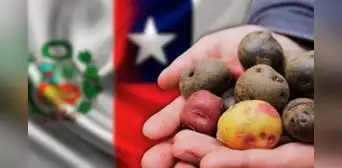 La vez que Chile trató de inscribir la papa como patrimonio nacional, pero el Perú se opuso: "Fue inapropiado"