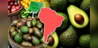 El país de Sudamérica que conquista a China con su palta: exportó 50.000 toneladas de 'oro verde' y superó a Chile El país de Sudamérica que conquista a China con su palta: exportó 50.000 toneladas de 'oro verde' y superó a Chile