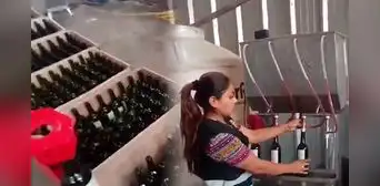 Intervienen fábrica de bebidas alcohólicas adulteradas en Puente Piedra: 30,000 litros de vino iban a comercializarse Intervienen fábrica de bebidas alcohólicas adulteradas en Puente Piedra: 30,000 litros de vino iban a comercializarse
