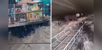 San Juan de Lurigancho: hallan el cuerpo carbonizado de un hombre bajo un puente que cruza el río Rímac San Juan de Lurigancho: hallan el cuerpo carbonizado de un hombre bajo un puente que cruza el río Rímac