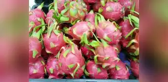 La verdad sobre la pitahaya: conoce la cantidad diaria recomendada para evitar problemas digestivos La verdad sobre la pitahaya: conoce la cantidad diaria recomendada para evitar problemas digestivos