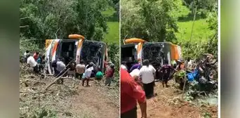 Bus de Movil Bus que transportaba una promoción escolar se despista en Moyobamba: accidente deja 11 fallecidos y varios heridos