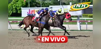 Resultados del 5y6 en La Rinconada EN VIVO HOY: sigue vía INH TV las carreras y ganadores del 24 de noviembre Resultados del 5y6 en La Rinconada EN VIVO HOY: sigue vía INH TV las carreras y ganadores del 24 de noviembre