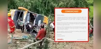 Movil Bus lamenta trágico accidente en Moyombamba que dejó 11 fallecidos: "Expresamos nuestro más profundo pesar"