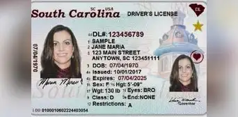 Licencia de conducir gratis para inmigrantes en Carolina del Sur: realiza este único paso y recibe tu Real ID en 2025