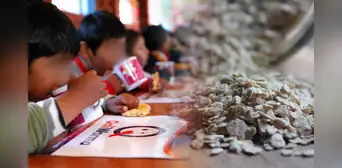 Análisis revela que la avena distribuida por Qali Warma a los escolares contenía moho