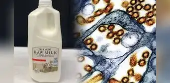 California health officials issue urgent warning after bird flu detected in a batch of raw milk