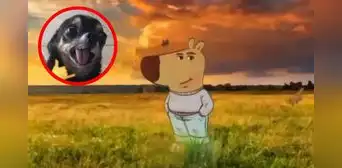 Este es el singular significado detrás del “perro chill”, el nuevo meme viral en todas las redes sociales