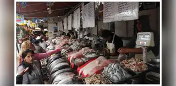 30% de pescaderías en Lima ofrecen especies marinas vulnerables 30% de pescaderías en Lima ofrecen especies marinas vulnerables