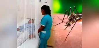 Dengue pone en alerta epidemiológica a Perú: EsSalud reporta que casos superan los 90.000 y se concentran en el norte Dengue pone en alerta epidemiológica a Perú: EsSalud reporta que casos superan los 90.000 y se concentran en el norte