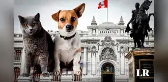 Congreso: plantean otorgar un día de licencia por muerte de mascotas Congreso: plantean otorgar un día de licencia por muerte de mascotas