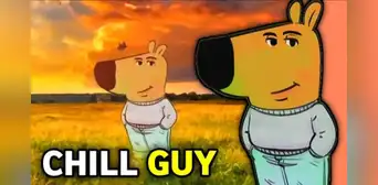 Chill Guy, el meme del perro que se ha vuelto viral en WhatsApp, TikTok y demás redes sociales: ¿qué significa? Chill Guy, el meme del perro que se ha vuelto viral en WhatsApp, TikTok y demás redes sociales: ¿qué significa?