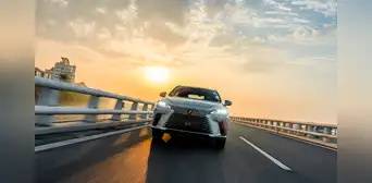 Lexus RX: Descubre la historia detrás de este icónico vehículo de lujo Lexus RX: Descubre la historia detrás de este icónico vehículo de lujo