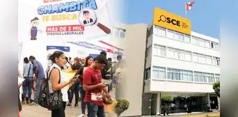 OSCE ofrece más de 28 ofertas laborales en Lima: conoce cómo postular y cuánto será el salario que recibirás OSCE ofrece más de 28 ofertas laborales en Lima: conoce cómo postular y cuánto será el salario que recibirás