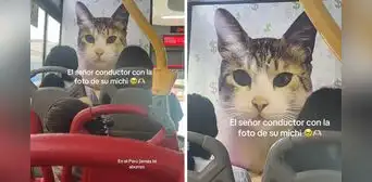 Conductor pegó gigantografía de su gatito en bus de Lima y causa furor en redes: “Va a Michigan” Conductor pegó gigantografía de su gatito en bus de Lima y causa furor en redes: “Va a Michigan”