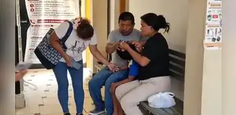 Chiclayo: 14 escolares terminan en centro de salud tras ataque de abejas