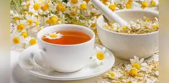 La infusión que combate el insomnio y es una de las favorita en EE. UU. por su valor nutricional y curativo La infusión que combate el insomnio y es una de las favorita en EE. UU. por su valor nutricional y curativo
