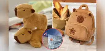 Empresario chino registró la palabra 'Capibara' como marca ante Indecopi y organismo desmiente prohibición de artículos a comerciantes