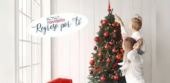 Verifica el Bono Navideño 2024 de 1.500 pesos: esta es la fecha límite que puedes cobrar el subsidio de Luis Abinader