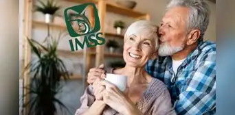 Pensión IMSS 2024: el último pago del año ya está confirmado y caerá en esta fecha Pensión IMSS 2024: el último pago del año ya está confirmado y caerá en esta fecha