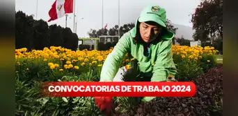 ¿Eres universitario o acabaste secundaria? Municipalidad de la Molina tiene vacantes con sueldos hasta S/ 8.700 ¿Eres universitario o acabaste secundaria? Municipalidad de la Molina tiene vacantes con sueldos hasta S/ 8.700