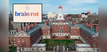 ¿Qué significa "Brain rot" (podredumbre mental), la palabra del año 2024 según la Universidad de Oxford?