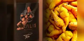 Este vino cusqueño no está hecho de uvas: se fabrica a 3.700 metros de altura para restaurantes lujosos de Perú