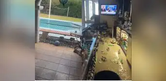 Terremoto de 7,0 en California: primeras imágenes y videos del fuerte sismo que sacudió a EE. UU.
