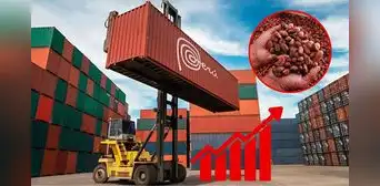 Exportaciones peruanas romperán récords en 2024 superando los US$73.000 millones: ¿cuáles son los más vendidos?