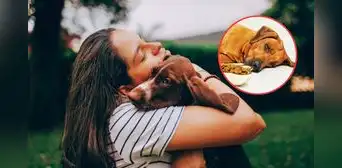 ¿Abrazas a tu perro al llegar a casa? Expertos revelan cuál es el trato adecuado para evitar problemas en tu mascota ¿Abrazas a tu perro al llegar a casa? Expertos revelan cuál es el trato adecuado para evitar problemas en tu mascota
