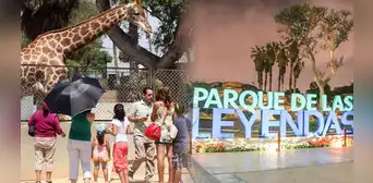 ¡Entradas a mitad de precio en el Parque de Las Leyendas todo diciembre! Requisitos y detalles aquí ¡Entradas a mitad de precio en el Parque de Las Leyendas todo diciembre! Requisitos y detalles aquí