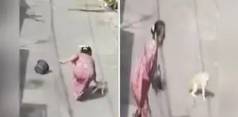 Mujer lanza agua a un gato, pero el felino tiene épica reacción y logra que caiga al suelo