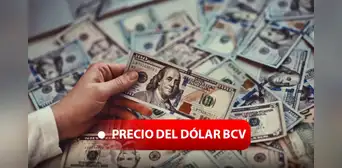 Precio del dólar BCV en Venezuela hoy, 8 de diciembre, vía Banco Central y dólar paralelo
