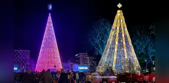 El árbol de Navidad más alto de América Latina y tercero en el mundo: tiene más de 100 metros