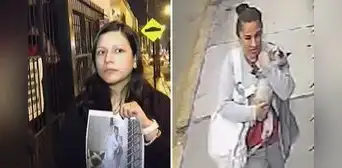 Roban a gatito de 3 meses en Surco y exigen S/5.000 a dueña para devolverlo: "Si no pagas, lo entrego muerto" Roban a gatito de 3 meses en Surco y exigen S/5.000 a dueña para devolverlo: "Si no pagas, lo entrego muerto"