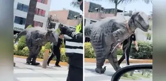 Captan a peruano paseando con ‘dinosaurio’ en Lima y usuarios bromean: “¿Qué raza es?” Captan a peruano paseando con ‘dinosaurio’ en Lima y usuarios bromean: “¿Qué raza es?”