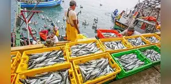 Hace 18 meses que pescadores artesanales esperan que PRODUCE publique reglamento de Ley 31749 Hace 18 meses que pescadores artesanales esperan que PRODUCE publique reglamento de Ley 31749