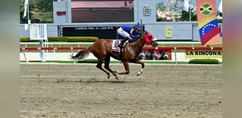 RESULTADOS Serie Hípica del Caribe 2024: ganadores y orden de llegada de las carreras en el Hipódromo La Rinconada