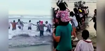 Hinchas de Alianza Lima salvan a dos personas de ahogarse en playa de Ventanilla: formaron cadena humana Hinchas de Alianza Lima salvan a dos personas de ahogarse en playa de Ventanilla: formaron cadena humana