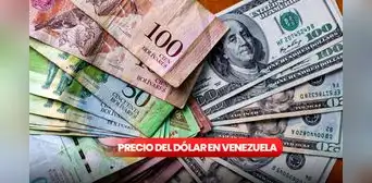 Precio del Dólar Paralelo y Monitor Dólar HOY, jueves 12 de diciembre: MIRA la cotización del dólar en Venezuela Precio del Dólar Paralelo y Monitor Dólar HOY, jueves 12 de diciembre: MIRA la cotización del dólar en Venezuela