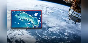 El único animal visible desde el espacio y el más grande del mundo: no es una jirafa ni una ballena azul El único animal visible desde el espacio y el más grande del mundo: no es una jirafa ni una ballena azul