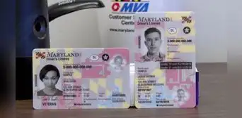 Licencia de conducir para inmigrantes en Maryland: 5 únicos requisitos para obtener tu Real ID en USA este 2025