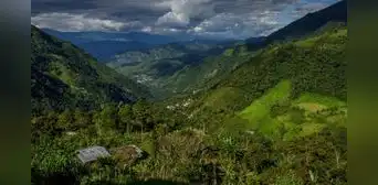 Descubrimiento a 3.000 metros de altura: biólogos hallan dos nuevas especies en los Andes peruanos Descubrimiento a 3.000 metros de altura: biólogos hallan dos nuevas especies en los Andes peruanos