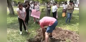 Vecinos de Santa Anita denuncian que 20 perros fallecieron por envenenamiento en parque Vecinos de Santa Anita denuncian que 20 perros fallecieron por envenenamiento en parque