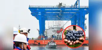 Este fue el primer producto peruano que se envió a China a través del Megapuerto de Chancay: es muy deseado en Asia