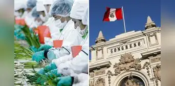 Congreso busca acelerar aprobación de Ley Chlimper 2.0 que beneficia a grandes agroexportadoras