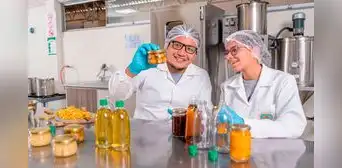 Las 4 ingenierías que serán consideradas profesiones de la salud desde el 2025 tras aprobación del Congreso Las 4 ingenierías que serán consideradas profesiones de la salud desde el 2025 tras aprobación del Congreso