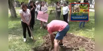 Fiscalía inicia diligencias preliminares por presunto envenenamiento de más de 20 perros en parque de Santa Anita Fiscalía inicia diligencias preliminares por presunto envenenamiento de más de 20 perros en parque de Santa Anita
